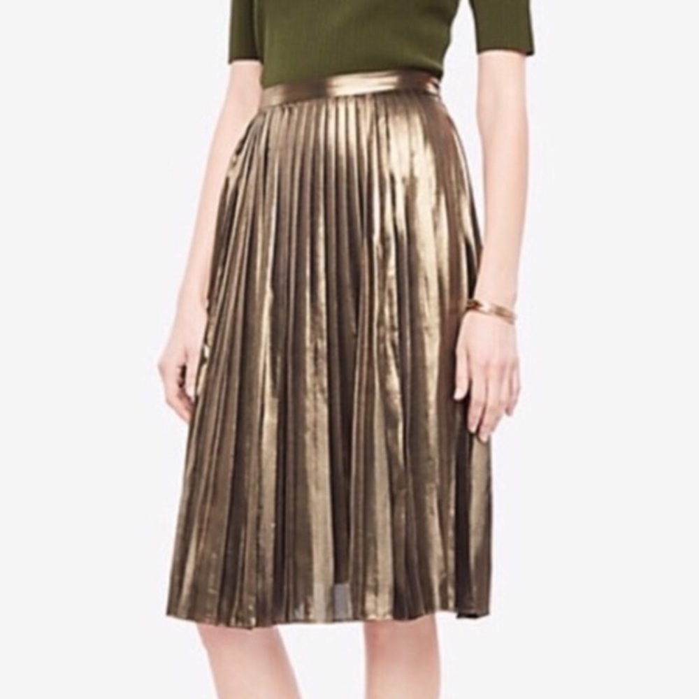 Ann Taylor pleated skirt